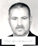 شفیع عادلی